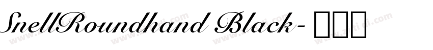SnellRoundhand Black字体转换